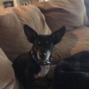 Meet your Posher, Amy